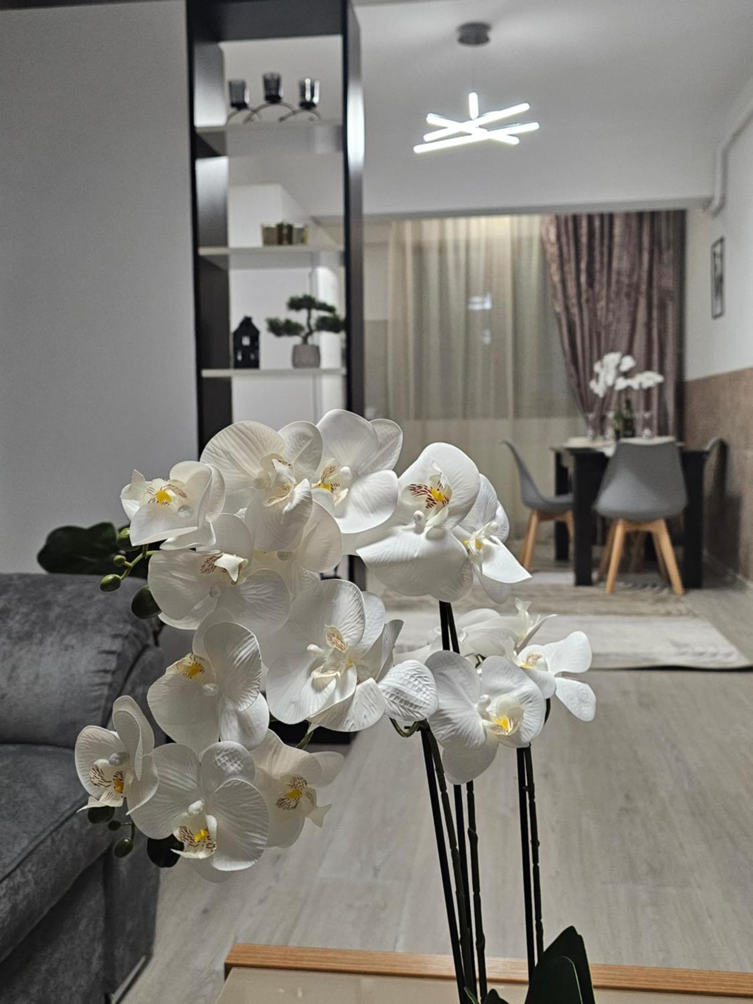 Enjoy My Home Near Palas Mall 2 ヤシ エクステリア 写真